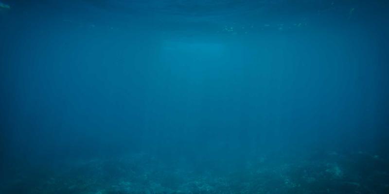 5G核心网切片开发实战：从编程资源到垂直行业定制化服务