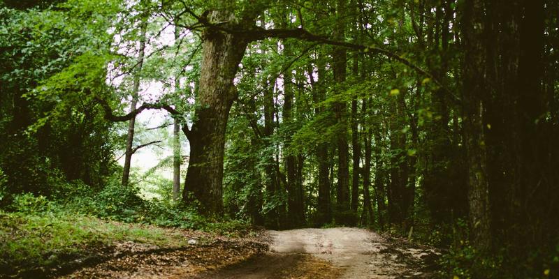 从全栈视角解析现代网络技术：后端架构、前端开发与编程资源实战分析