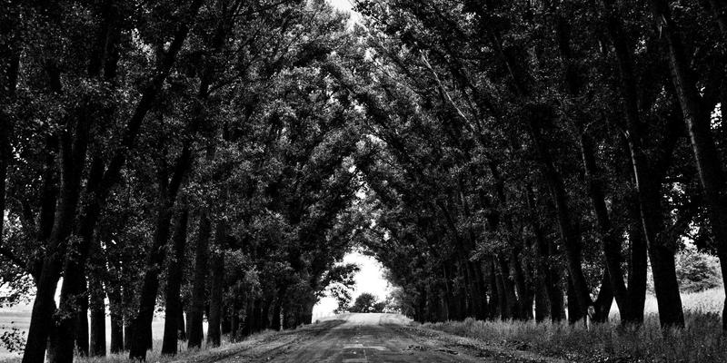 从蒸汽波美学到容器网络：前端开发者必读的Calico、Cilium与Flannel设计哲学