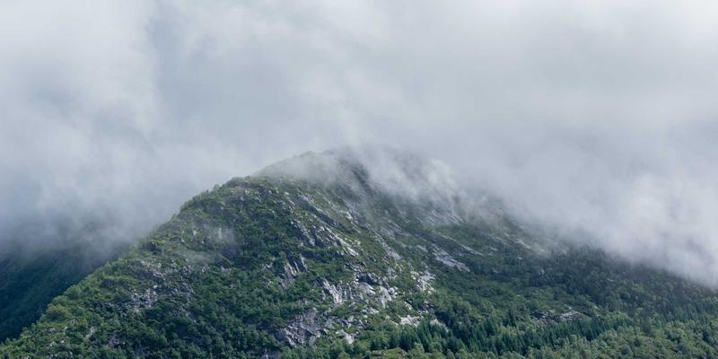 前端开发必知：网络流量工程与流量整形如何应对突发流量高峰