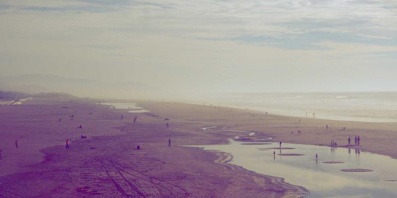 前端开发进阶指南：高效利用编程资源与开源软件