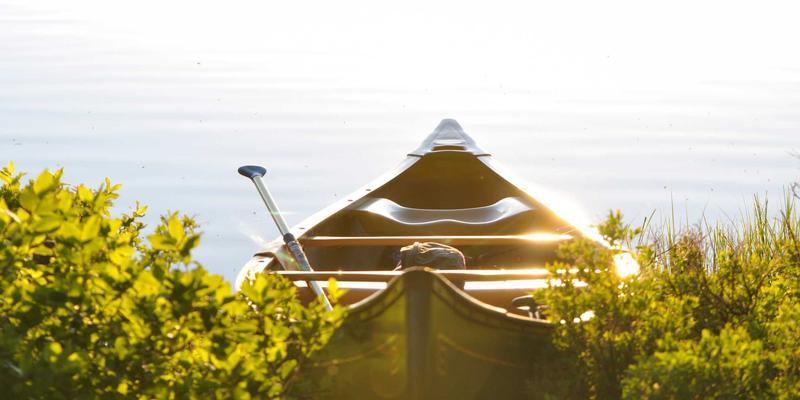 后量子密码学：融合后端技术与蒸汽波美学的下一代数字分享安全基石