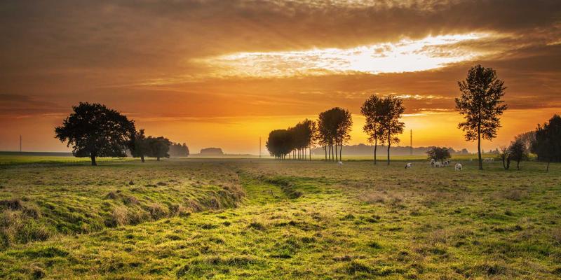 开源SD-WAN如何重塑多云架构：部署策略与成本优化实战指南