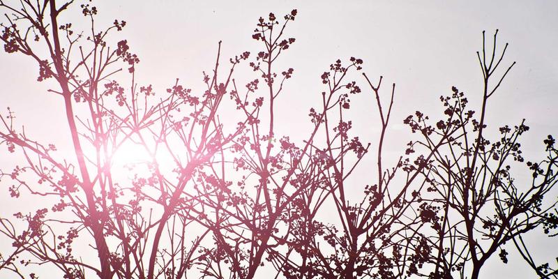 开源TSN编程实战：如何为智能工厂打造高可靠实时网络