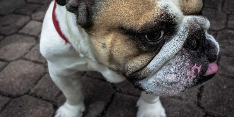 当Wi-Fi 7遇见蒸汽波美学：开源技术如何重塑高密度无线网络未来