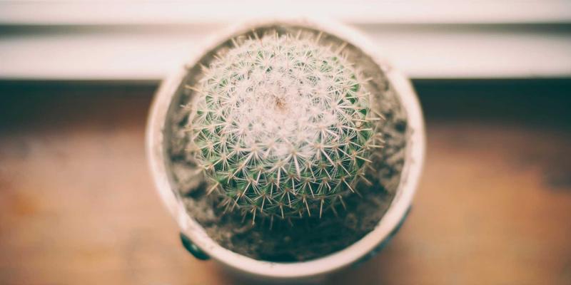 当蒸汽波美学遇见零信任：基于开源与后端技术的企业安全架构实施指南