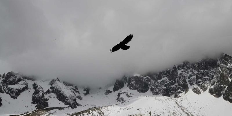 编程资源、开发教程与蒸汽波美学：一场数字世界的技术美学对话