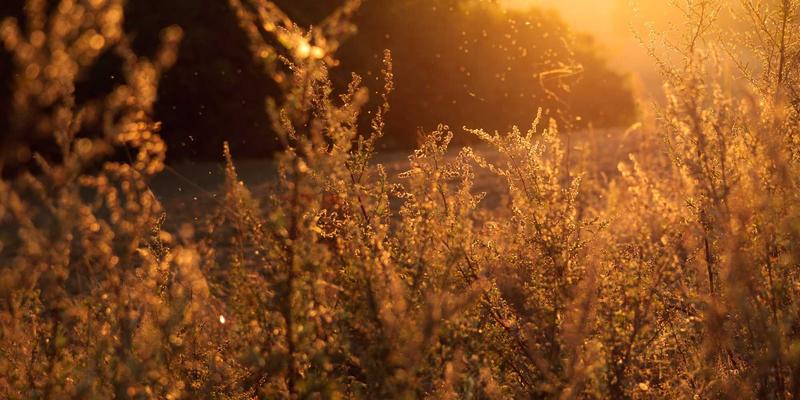 网络技术65：解锁编程资源与后端技术的数字分享新生态
