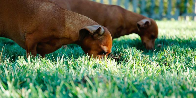 网络技术最佳实践：从前端开发到开源资源的全链路指南
