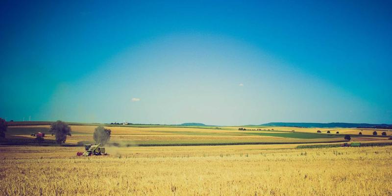 网络技术趋势：从蒸汽波美学复兴到编程资源民主化