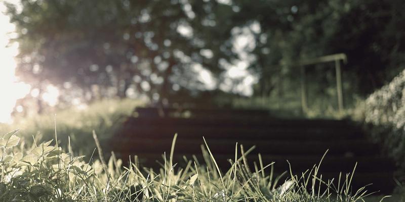 网络数据包代理（NPB）技术：解锁云数据中心可视化与安全分析的编程资源与后端利器