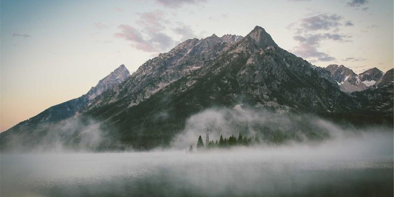 网络数据平面加速技术：DPU与智能网卡的演进与选型指南