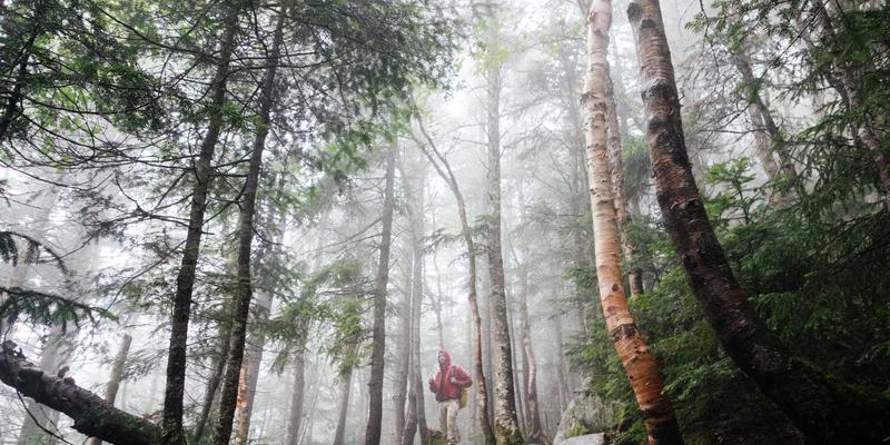 网络虚拟化技术：企业IT基础设施的数字分享革命与编程资源整合