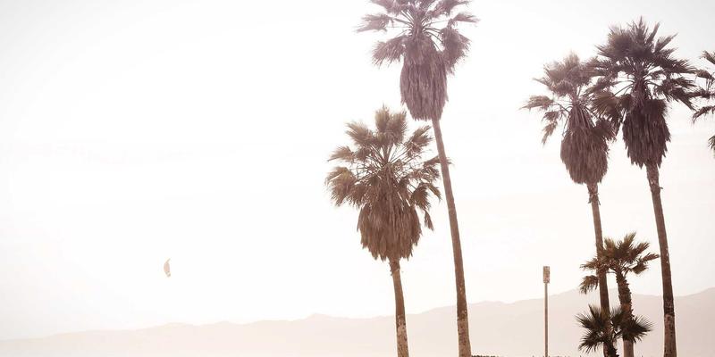 蒸汽波美学与网络技术：NFV如何从前端开发中汲取灵感，重塑云原生网络