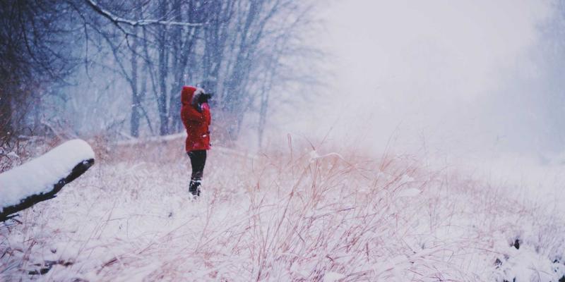 边缘计算与物联网的协同：当网络技术遇见蒸汽波美学的编程资源与开发教程